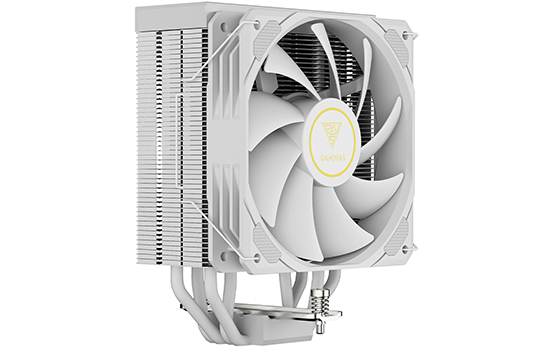 Z590